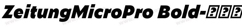 ZeitungMicroPro Bold字体转换